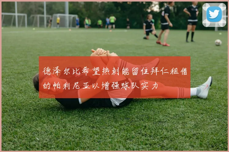 德泽尔比希望热刺能留住拜仁租借的帕利尼亚以增强球队实力