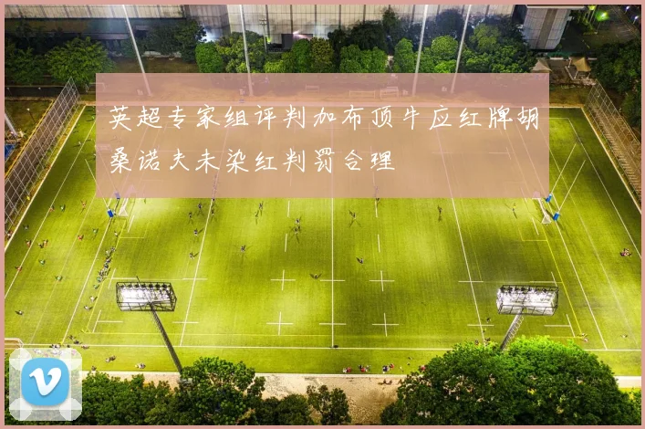 英超专家组评判加布顶牛应红牌胡桑诺夫未染红判罚合理